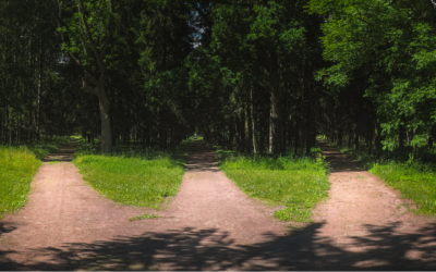 The Default Dance: How Coping Styles Shape Our Relationships