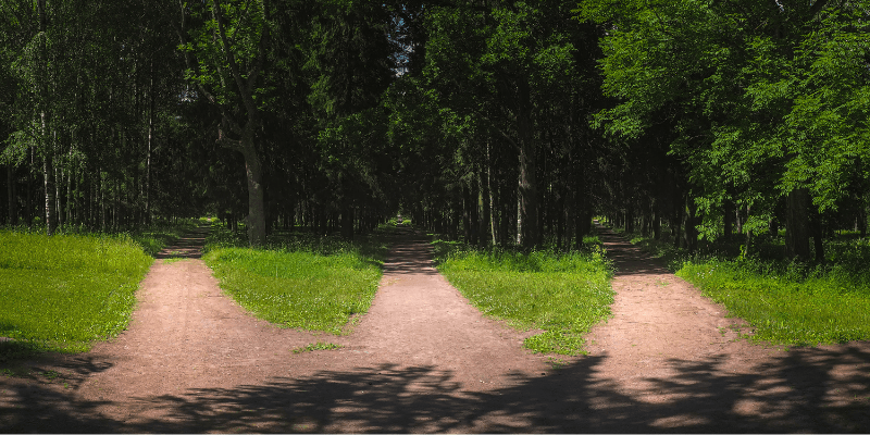 The Default Dance: How Coping Styles Shape Our Relationships