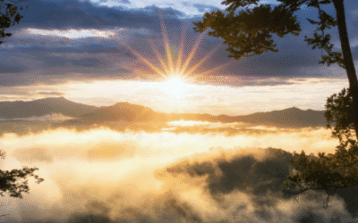 The Truth About Transformation: Healing, Wholeness & Faith