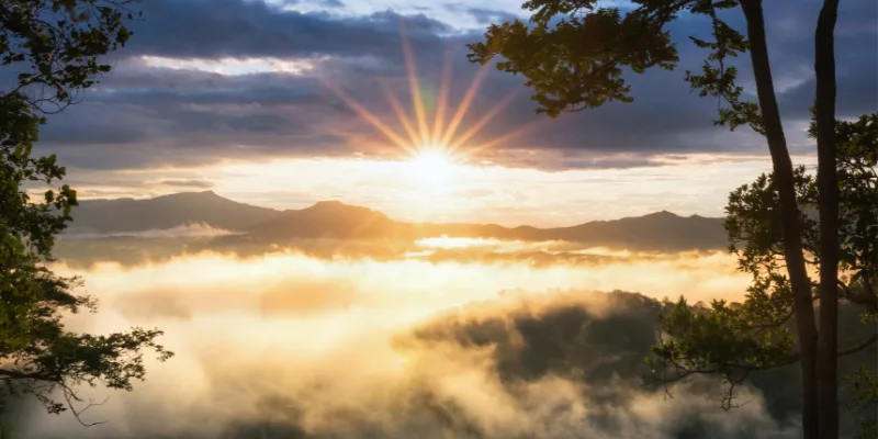 The Truth About Transformation: Healing, Wholeness & Faith